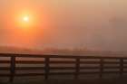 Black fence on horse farm at sunrise on foggy morning, Oldham County, Kentucky Art Print